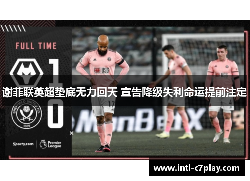 谢菲联英超垫底无力回天 宣告降级失利命运提前注定